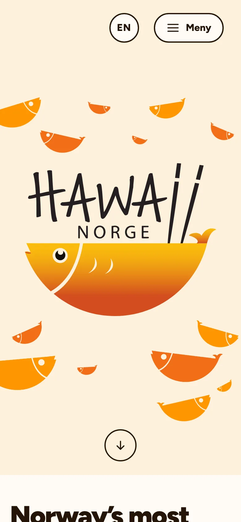 Hawaii Norge: forsiden på mobil