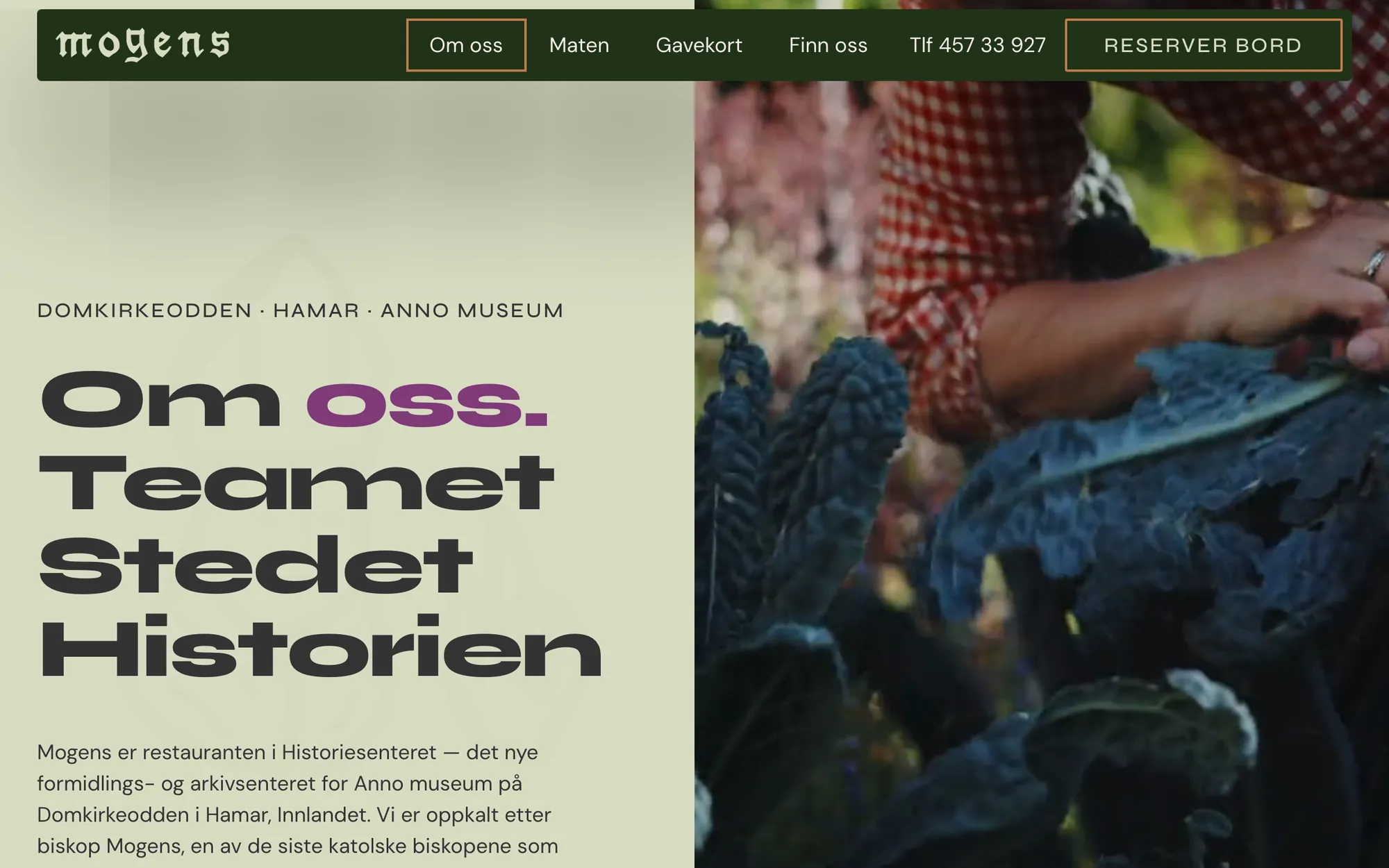Mogens av Mons: folkene og historien på PC