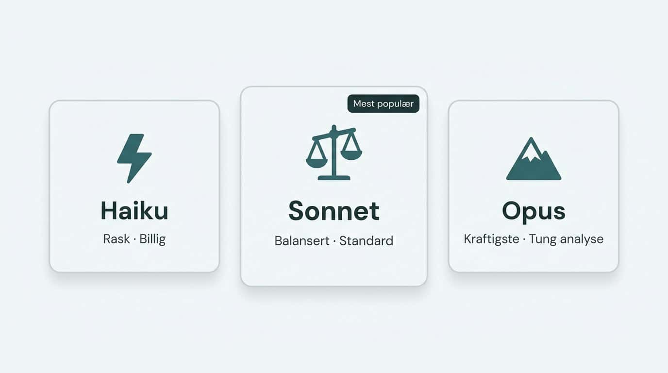 Claude AI modeller: Haiku, Sonnet og Opus — ulike varianter for ulike oppgaver