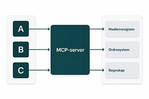 MCP for bedrifter: hva det koster og hva du får